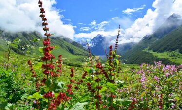 valley of flowers Trek Package