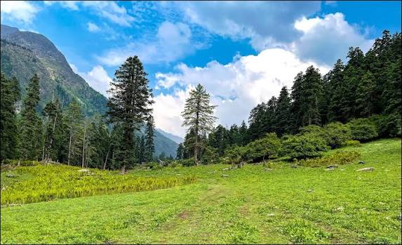 Lush green alpine meadow of Devsu Thatch surrounded by dense pine forests and snow peaks on Har Ki Dun trek