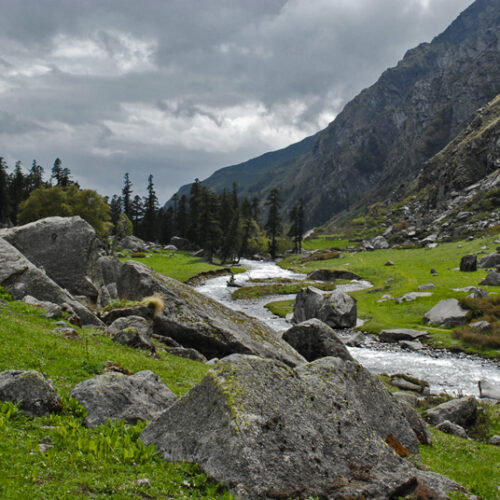 Har Ki Dun valley landscape with snow-capped Swargarohini peak and green mountain trails
