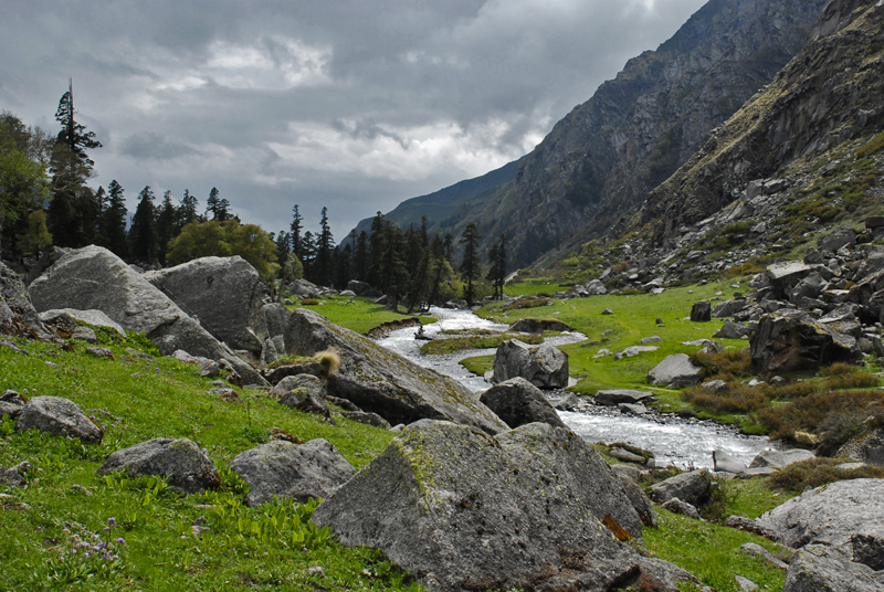 Har Ki Dun valley landscape with snow-capped Swargarohini peak and green mountain trails