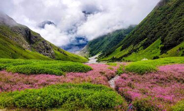 Valley of flowers Trek