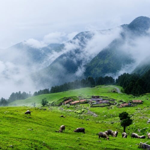 Chopta Tungnath Trek 2026 – Package, Cost & Itinerary